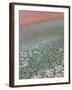 Detail of Salinas, Salt Cay Island, Turks and Caicos, Caribbean-Walter Bibikow-Framed Photographic Print