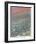 Detail of Salinas, Salt Cay Island, Turks and Caicos, Caribbean-Walter Bibikow-Framed Photographic Print