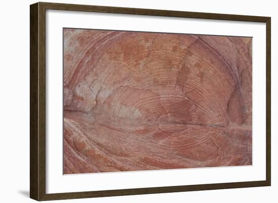 Detail of Sandstone with Circular Rings-James-Framed Photographic Print