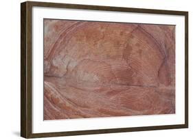 Detail of Sandstone with Circular Rings-James-Framed Photographic Print