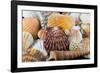 Detail of Seashells from around the World-Cindy Miller Hopkins-Framed Photographic Print