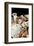 Detail of Seashells from around the World-Cindy Miller Hopkins-Framed Photographic Print