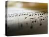 Detail of Sheet Music-Ryan Mcvay-Stretched Canvas