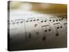 Detail of Sheet Music-Ryan Mcvay-Stretched Canvas