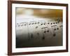 Detail of Sheet Music-Ryan Mcvay-Framed Photographic Print