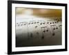 Detail of Sheet Music-Ryan Mcvay-Framed Photographic Print