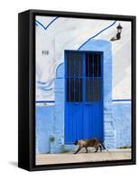 Detail of Siamese Cat in Doorway with Wrought Iron Cover, Puerto Vallarta, Mexico-Nancy & Steve Ross-Framed Stretched Canvas