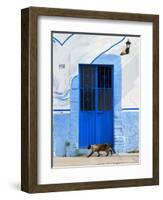 Detail of Siamese Cat in Doorway with Wrought Iron Cover, Puerto Vallarta, Mexico-Nancy & Steve Ross-Framed Photographic Print