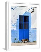 Detail of Siamese Cat in Doorway with Wrought Iron Cover, Puerto Vallarta, Mexico-Nancy & Steve Ross-Framed Photographic Print