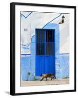 Detail of Siamese Cat in Doorway with Wrought Iron Cover, Puerto Vallarta, Mexico-Nancy & Steve Ross-Framed Photographic Print