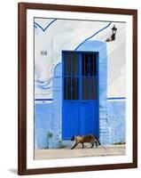 Detail of Siamese Cat in Doorway with Wrought Iron Cover, Puerto Vallarta, Mexico-Nancy & Steve Ross-Framed Photographic Print