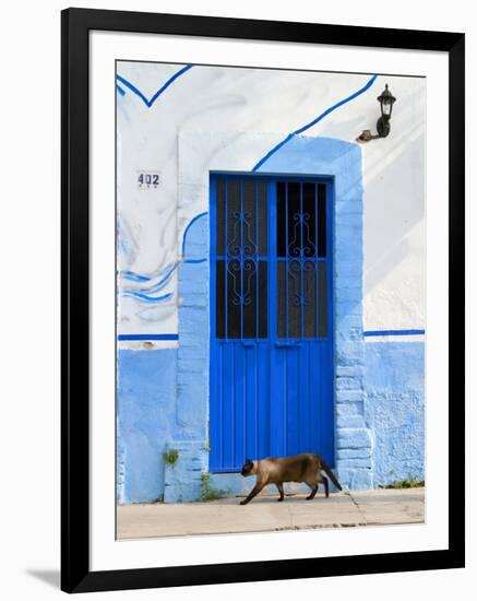 Detail of Siamese Cat in Doorway with Wrought Iron Cover, Puerto Vallarta, Mexico-Nancy & Steve Ross-Framed Photographic Print