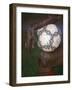 Detail of Soccer Playerand Ball-null-Framed Photographic Print