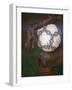 Detail of Soccer Playerand Ball-null-Framed Photographic Print