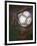 Detail of Soccer Playerand Ball-null-Framed Photographic Print