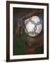 Detail of Soccer Playerand Ball-null-Framed Photographic Print