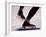 Detail of Speed Skater,S Feet at the Start, Inzell-Chris Cole-Framed Photographic Print