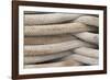 Detail of Stacked Boat Mooring Lines, Bremerton, Washington, USA-Jaynes Gallery-Framed Photographic Print