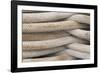 Detail of Stacked Boat Mooring Lines, Bremerton, Washington, USA-Jaynes Gallery-Framed Photographic Print