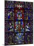 Detail of stained glass representing, Madonna and Child, Chartres Cathedral, Chartres, Eure-et-L...-Panoramic Images-Mounted Photographic Print