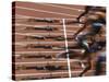 Detail of Start of Womens 100M Race-Steven Sutton-Stretched Canvas