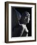 Detail of Statue Depicting Siren from Necropolis at Altino Near Via Annia, Veneto, Italy-null-Framed Giclee Print