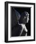 Detail of Statue Depicting Siren from Necropolis at Altino Near Via Annia, Veneto, Italy-null-Framed Giclee Print