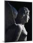 Detail of Statue Depicting Siren from Necropolis at Altino Near Via Annia, Veneto, Italy-null-Mounted Giclee Print