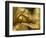 Detail of Statue of Buddha, Phu Si Hill, Luang Prabang, UNESCO World Heritage Site, Laos, Indochina-null-Framed Photographic Print