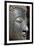 Detail of Statue of the Buddha-Jean-Pierre De Mann-Framed Photographic Print