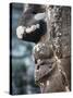 Detail of Stone Face on Towers in the Bayon Temple, Angkor Thom, Cambodia-null-Stretched Canvas