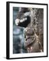 Detail of Stone Face on Towers in the Bayon Temple, Angkor Thom, Cambodia-null-Framed Photographic Print