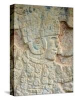 Detail of Stone Relief, Ancient Mayan Ruins, Chichten Itza, Yucatan, Mexico-null-Stretched Canvas