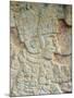 Detail of Stone Relief, Ancient Mayan Ruins, Chichten Itza, Yucatan, Mexico-null-Mounted Photographic Print