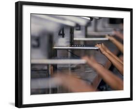 Detail of Swimmers About to Start a Backstroke Race-null-Framed Photographic Print