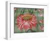 Detail of Temple Lotus Flower Tile Floor, Thai Buddhist Temple, Island of Penang, Malaysia-Cindy Miller Hopkins-Framed Photographic Print