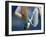 Detail of Tennis Player Holding the Racquet and Ball About to Serve-null-Framed Premium Photographic Print