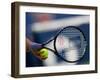 Detail of Tennis Player Holding the Racquet and Ball About to Serve-null-Framed Photographic Print