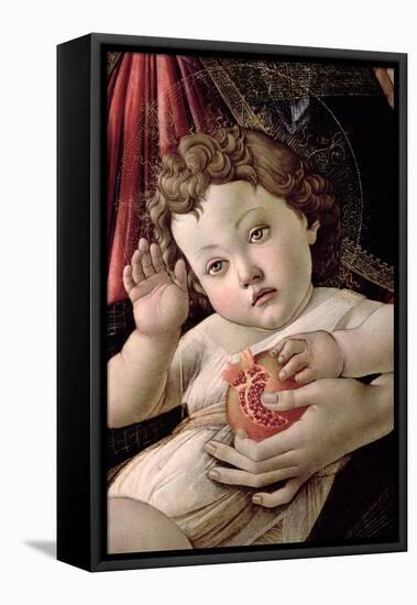 Detail of the Child with Pomegranate from the Madonna Della Melagrana-Sandro Botticelli-Framed Stretched Canvas