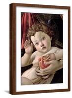 Detail of the Child with Pomegranate from the Madonna Della Melagrana-Sandro Botticelli-Framed Giclee Print