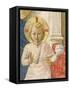 Detail of the Christ Child from the Madonna Delle Ombre-Fra Angelico-Framed Stretched Canvas