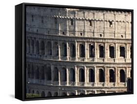 Detail of the Colloseum, Rome, Lazio, Italy-James Emmerson-Framed Stretched Canvas