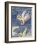 Detail of The Crucifixion-Giotto di Bondone-Framed Giclee Print