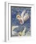 Detail of The Crucifixion-Giotto di Bondone-Framed Giclee Print