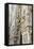Detail of the Duomo (Cathedral), Milan, Lombardy, Italy, Europe-Yadid Levy-Framed Stretched Canvas