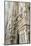 Detail of the Duomo (Cathedral), Milan, Lombardy, Italy, Europe-Yadid Levy-Mounted Photographic Print