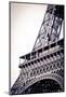 Detail of the Eiffel Tower, Paris, France-Russ Bishop-Mounted Photographic Print