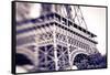 Detail of the Eiffel Tower. Paris, France-Russ Bishop-Framed Stretched Canvas
