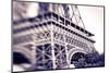 Detail of the Eiffel Tower. Paris, France-Russ Bishop-Mounted Photographic Print