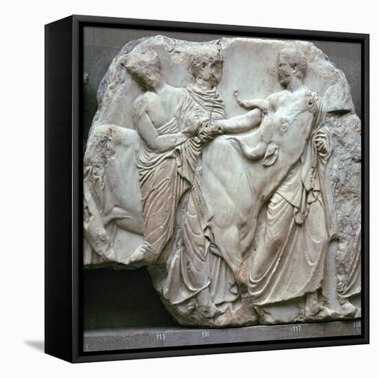 Detail of the Elgin Marbles, 5th century BC-Phidias-Framed Stretched Canvas